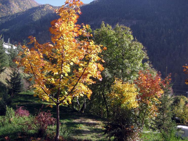 campeggioIMG2325.jpg